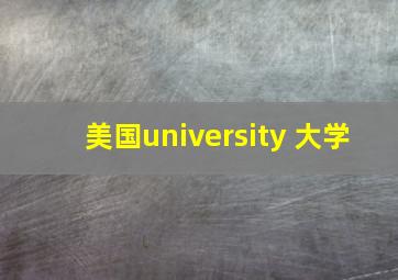 美国university 大学